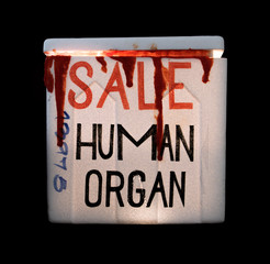 A cooling box with human organs for transplantation. Illegal sale of human organs.