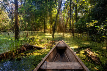 Navegando en un bote de madera a través del bosque inundado en Leticia, región de Amazonas,...