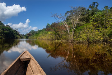 Navegando en un bote de madera a través del bosque inundado en Leticia, región de Amazonas, Colombia.	