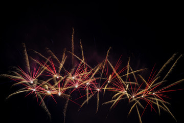 Fireworks over black sky