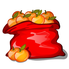 Red bag filled with ripe tangerines isolated on white background. Vector cartoon close-up illustration.