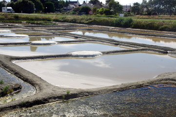 marais salant -guérande