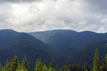 landscape forming mountains densely covered with forest