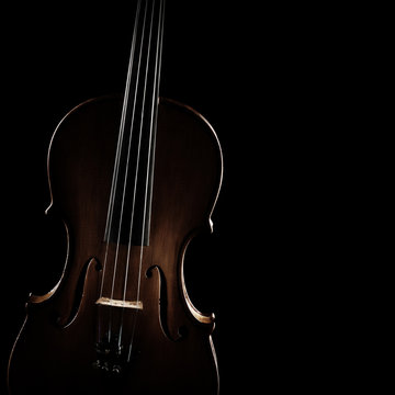 Violin orchestra music instrument closeup isolated on black