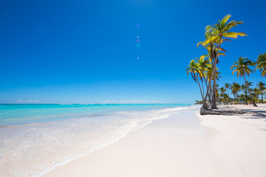 Juanillo beach. Blue water, palms and white sand 