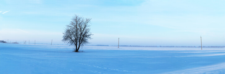 Fototapeta na wymiar Sunrise in winter, snow-cowered field