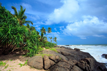 Untouched tropical beach