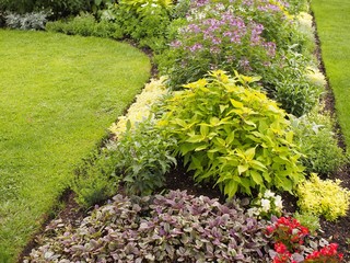 Naturgarten - Kräuter und Gewürze duften aromatisch