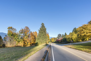 road on an autumn street with trees and fallen leaves, people running along the sidewalk