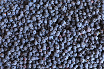 A blueberry background.