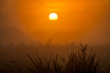 lever de soleil sur le marais