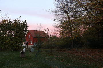 Crépuscule Automne