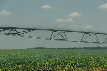 Large watering systems spray water in the field
