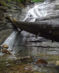 Buttermilk Falls Detail