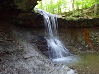 Scenic View of Blue Hen Falls