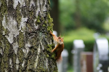 Was sehe ich denn da