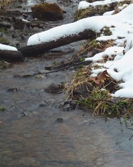 Snowy Creek