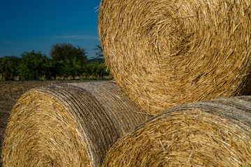 Round bales of straw lying on a plowed field in the background of a beautiful blue sky.