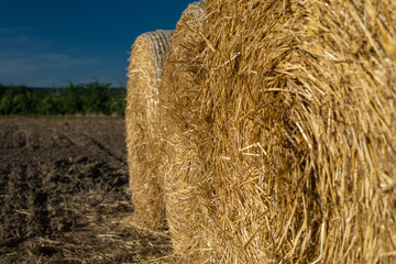 Round bales of straw lying on a plowed field in the background of a beautiful blue sky.