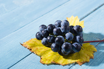bunch of red grape with yellow leaf on old blue wood table background