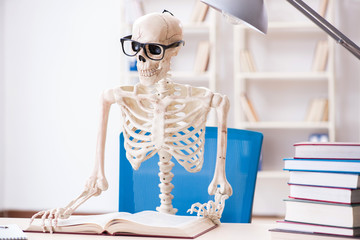 Student skeleton preparing for exams