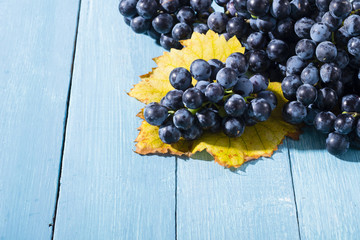 bunch of red grape with yellow leaf on old blue wood table background