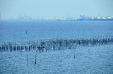 木更津沖の海苔の養殖場（千葉県木更津市）