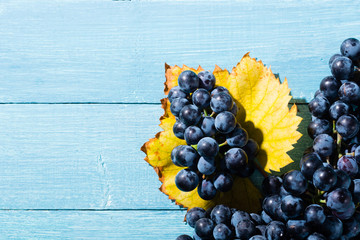 red grape on old blue wood table