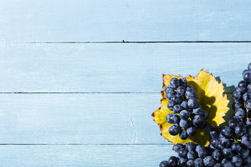 bunch of red grape with yellow leaf on old blue wood table background