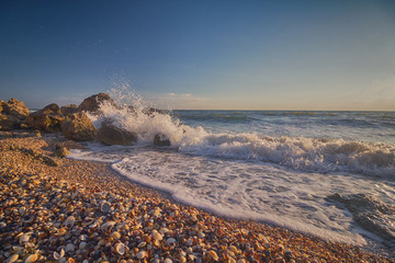 Fototapety na wymiar - Fototapeta24.pl