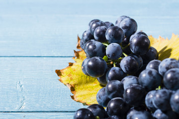 bunch of red grape with yellow leaf on old blue wood table background
