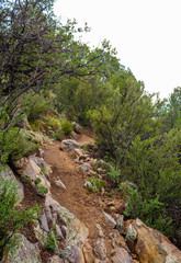 Piedre Lisa Albuquerque, New Mexico, Sandia Mountains, United States 