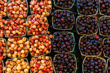 Top View of Fresh Royal Ann and Sour Cherries at Farmer's Market in Baskets