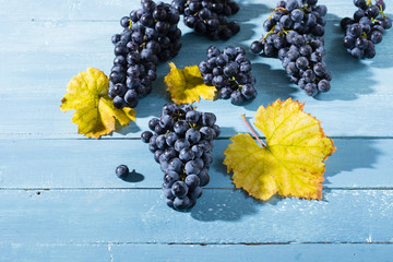 bunch of red grape with yellow leaf on old blue wood table background