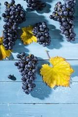 bunch of red grape with yellow leaf on old blue wood table background