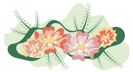 Flores coloridas