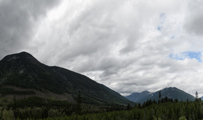 Summer flowers against dramatic storm clouds, looking over a mountain valley in Canada