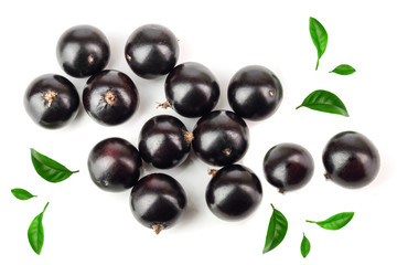 black currant with leaf isolated on white background. Top view. Flat lay pattern