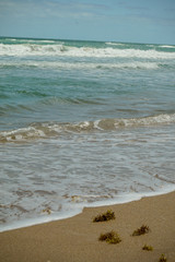 Beautiful waves on sandy beach at New Smyrna Beach in Florida