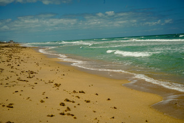 Fototapeta na wymiar Beautiful windy sandy beach at New Smyrna Beach in Florida