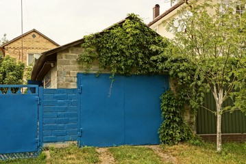 facade of an old garage overgrown with green vegetation with blue gates on the street in the grass