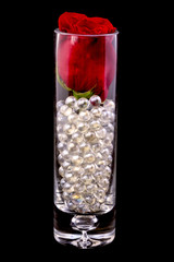One red Rose in a vase with glass beads