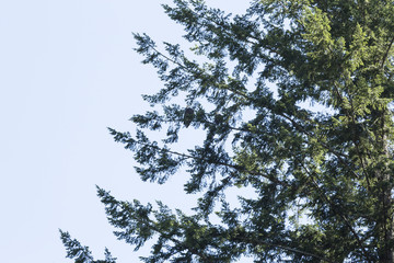 Colorful paint backgrounds