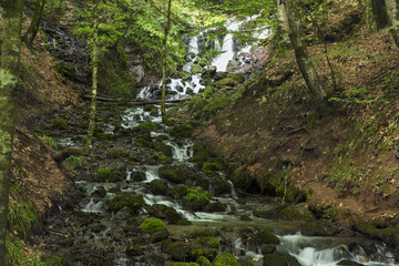 Rainforest river nature landscape. Stream in rainforest nature. Rainforest stream. Nature. Stream. Natural environment. Background