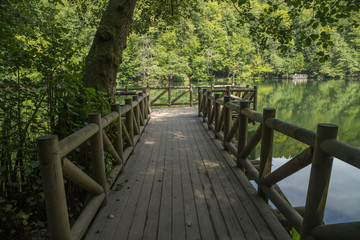 wooden bridge background in bolu yedigoller