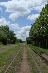 Fototapeta na wymiar Vias de ferrocarril en el campo