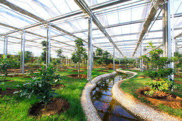 interior architectural landscape in a botanical garden