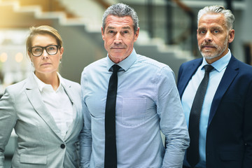 Confident mature businessman and two colleagues standing in an o