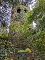 Ivy tower