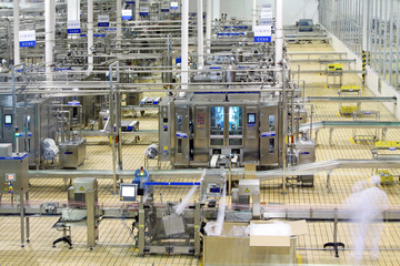 automated production line in modern dairy factory